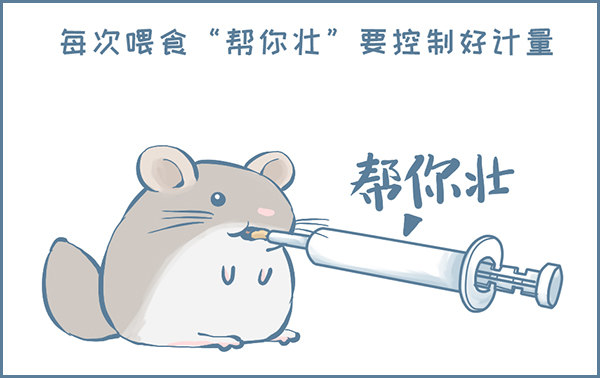龙猫软便了（下）-第313话