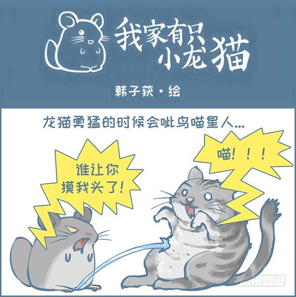 龙猫呲尿学（下）-第315话