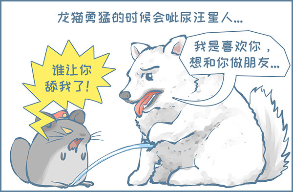 龙猫呲尿学（下）-第315话