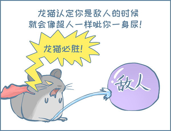 龙猫呲尿学（下）-第315话