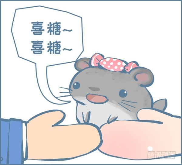 我叫喜糖（下）-第317话