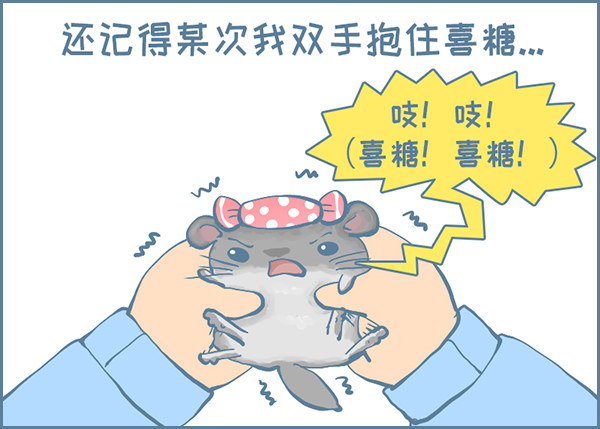 喜糖的特点（下）-第319话