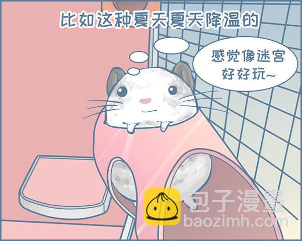 龙猫大春子的跳板-第321话