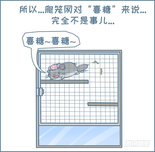 喜糖的弹跳（1）-第323话
