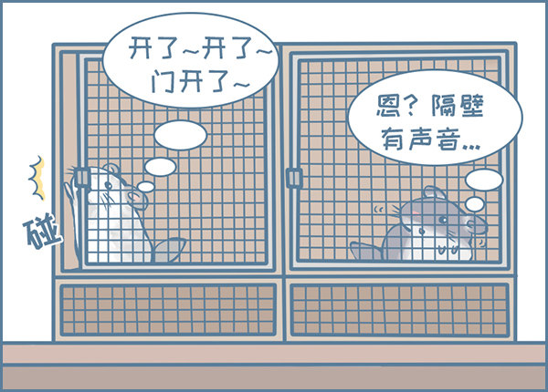 龙猫国儿&ldquo;越狱&rdquo;记（1）-第327话
