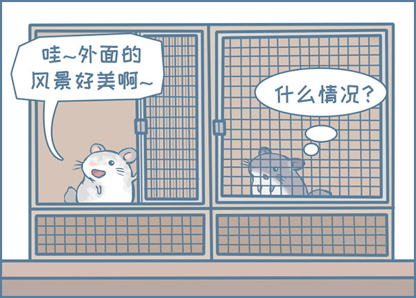 龙猫国儿&ldquo;越狱&rdquo;记（1）-第327话