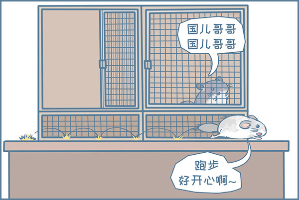 龙猫国儿&ldquo;越狱&rdquo;记（1）-第327话