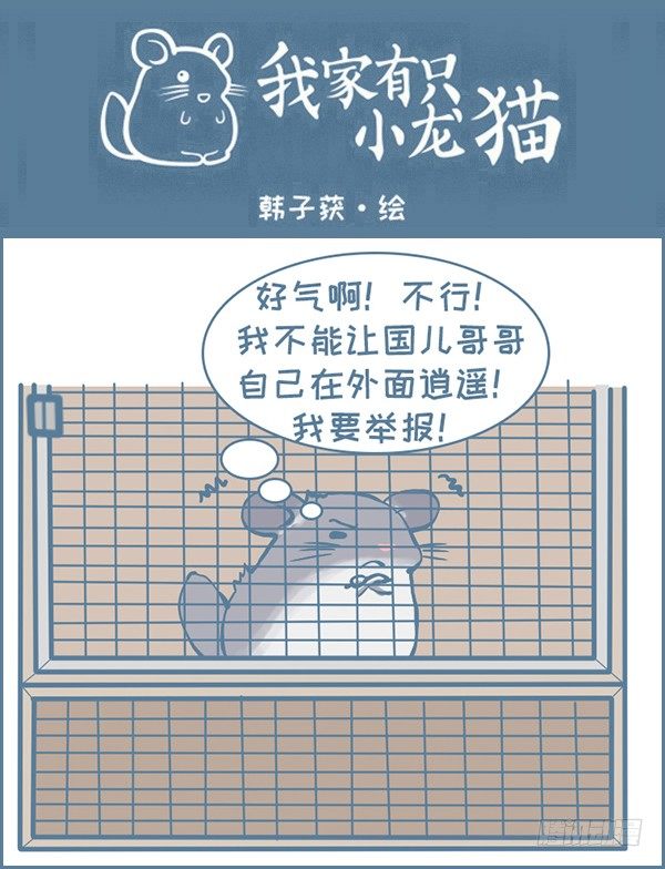 龙猫国儿&ldquo;越狱&rdquo;记（3）-第329话