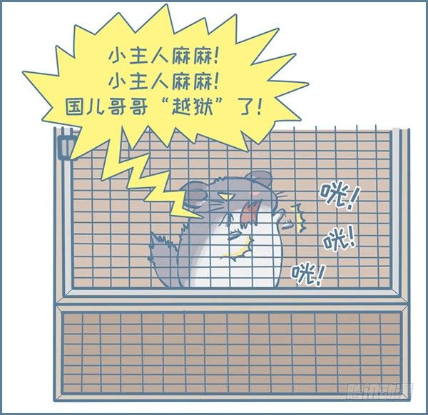 龙猫国儿&ldquo;越狱&rdquo;记（3）-第329话