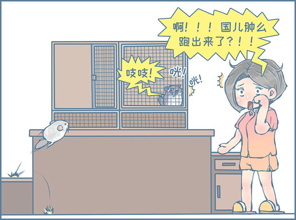 龙猫国儿&ldquo;越狱&rdquo;记（3）-第329话