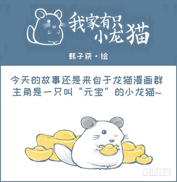 龙猫&ldquo;元宝&rdquo;的故事-1-第333话