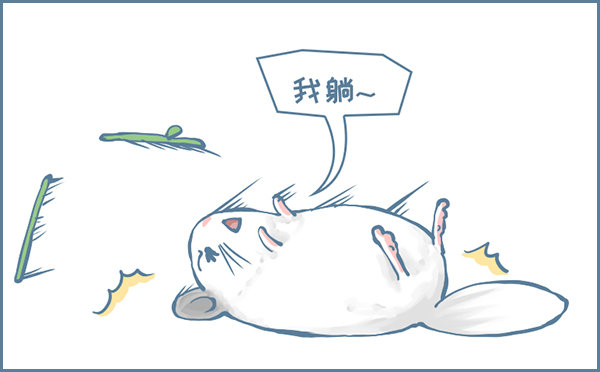 龙猫&ldquo;元宝&rdquo;的故事-1-第333话