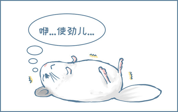 龙猫&ldquo;元宝&rdquo;的故事-1-第333话