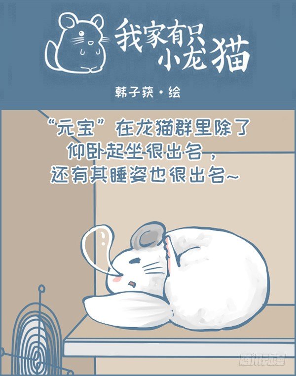 龙猫&ldquo;元宝&rdquo;的故事-3-第335话