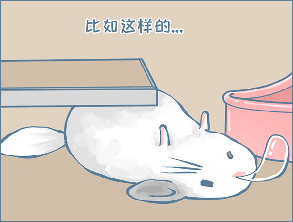 龙猫&ldquo;元宝&rdquo;的故事-3-第335话