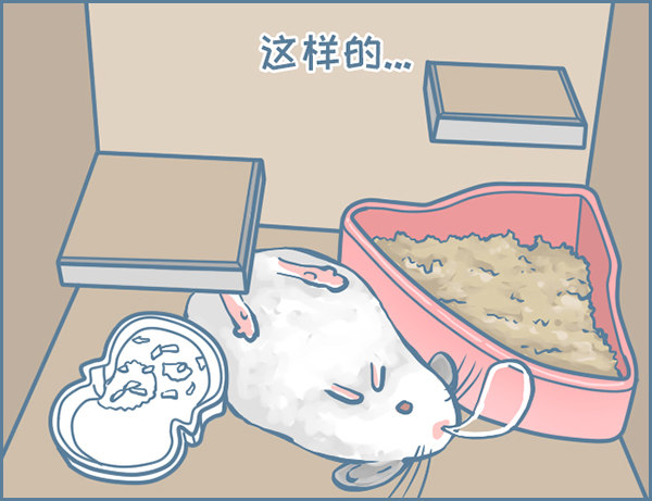 龙猫&ldquo;元宝&rdquo;的故事-3-第335话