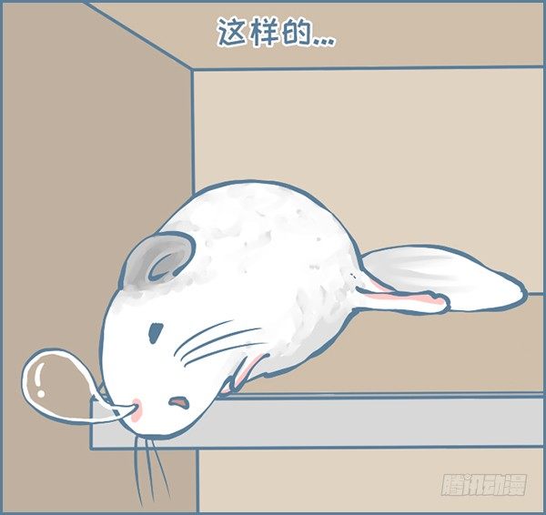 龙猫&ldquo;元宝&rdquo;的故事-3-第335话