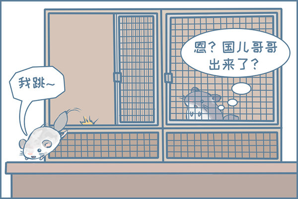 龙猫军军告状（1）-第339话