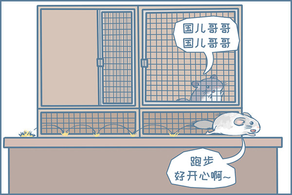 龙猫军军告状（1）-第339话