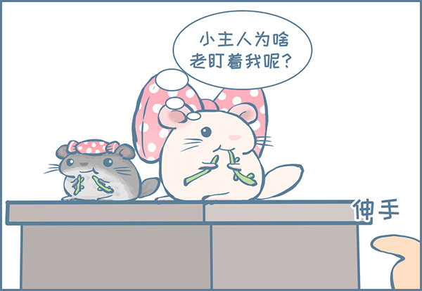 佛系妮妮（上）-第343话