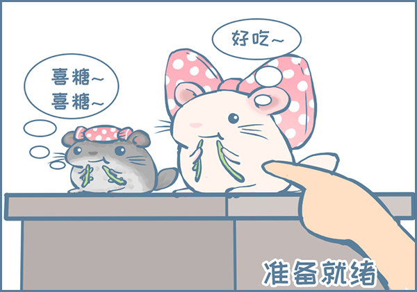 佛系妮妮（上）-第343话