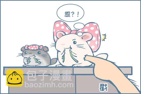 佛系妮妮（上）-第343话