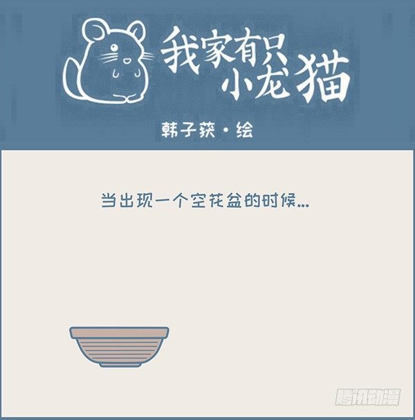 一盆龙猫多肉的诞生-第345话