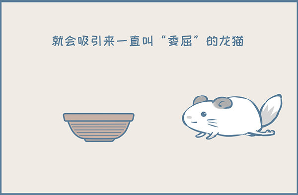 一盆龙猫多肉的诞生-第345话