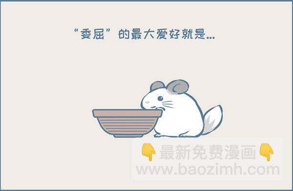 一盆龙猫多肉的诞生-第345话