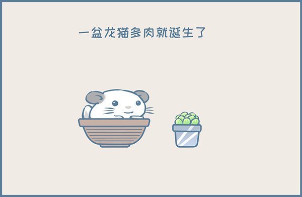 一盆龙猫多肉的诞生-第345话