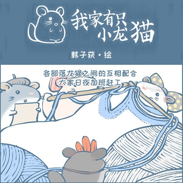 鼠年龙猫族的礼物（4）-第351话