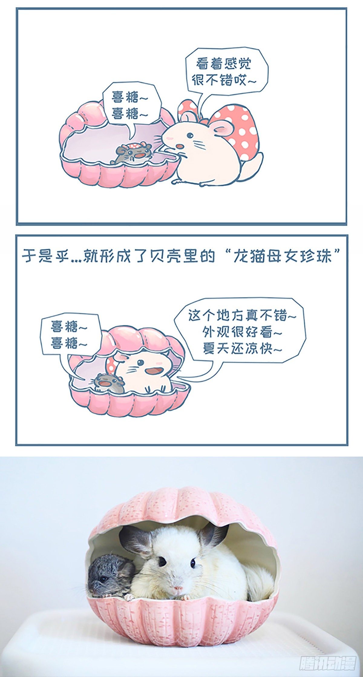 贝壳里的母女珍珠-第359话