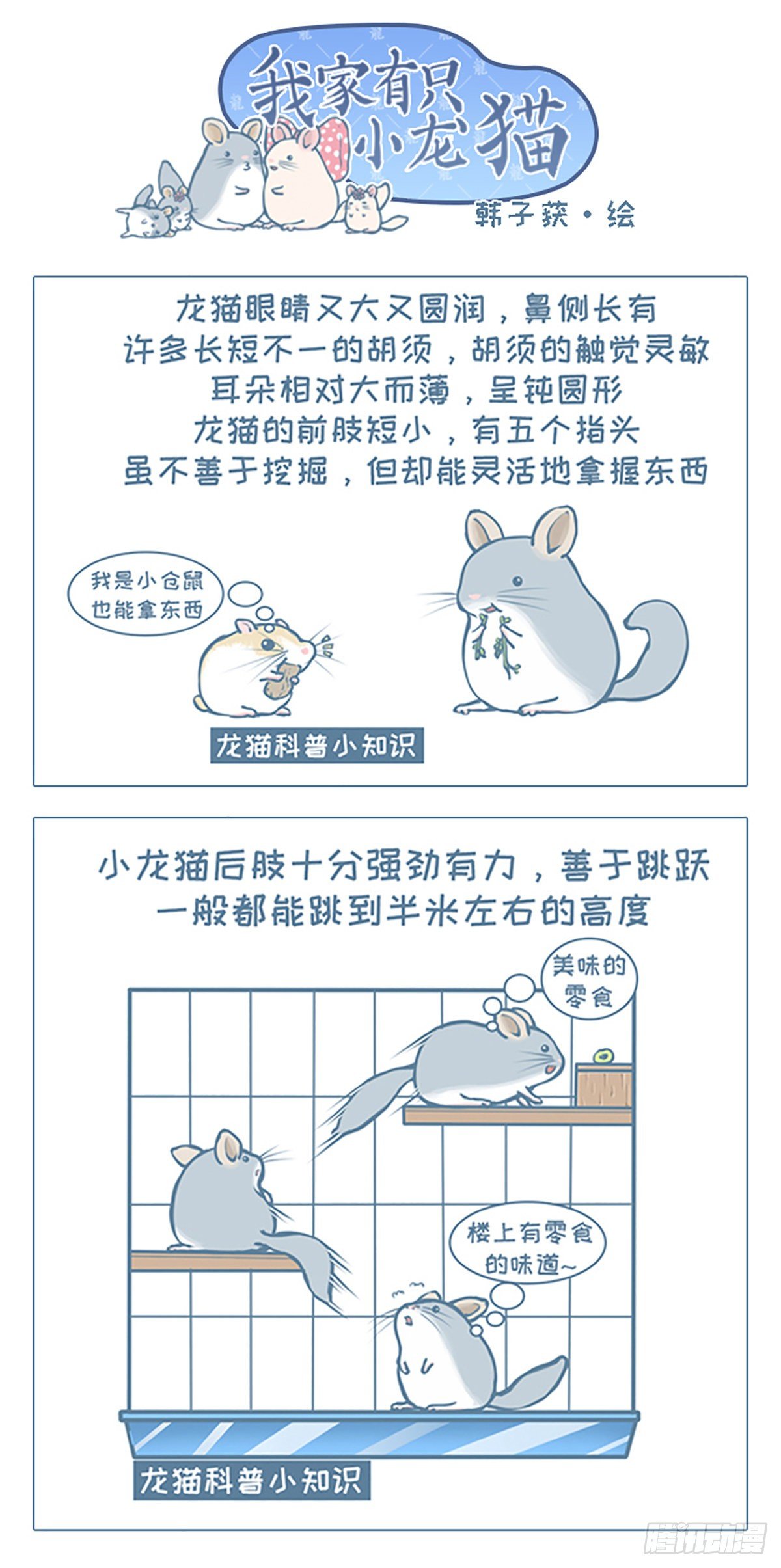 第80个小故事-第77话