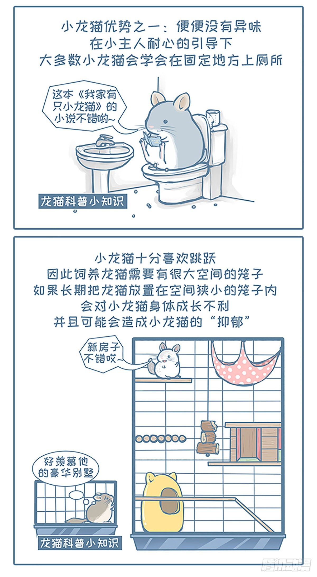 第101个小故事-第99话