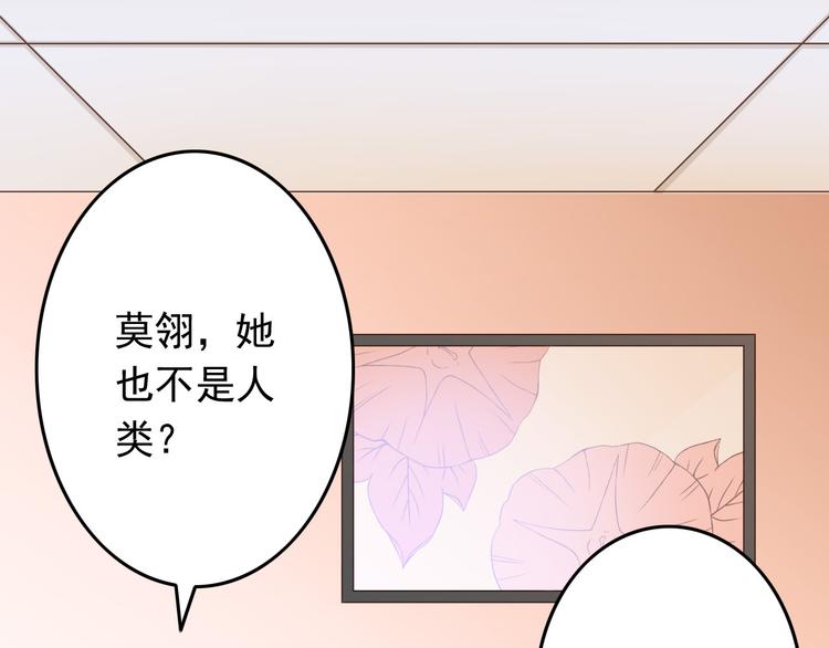 第31话 你喜欢我就够了！(1/2)-第31话