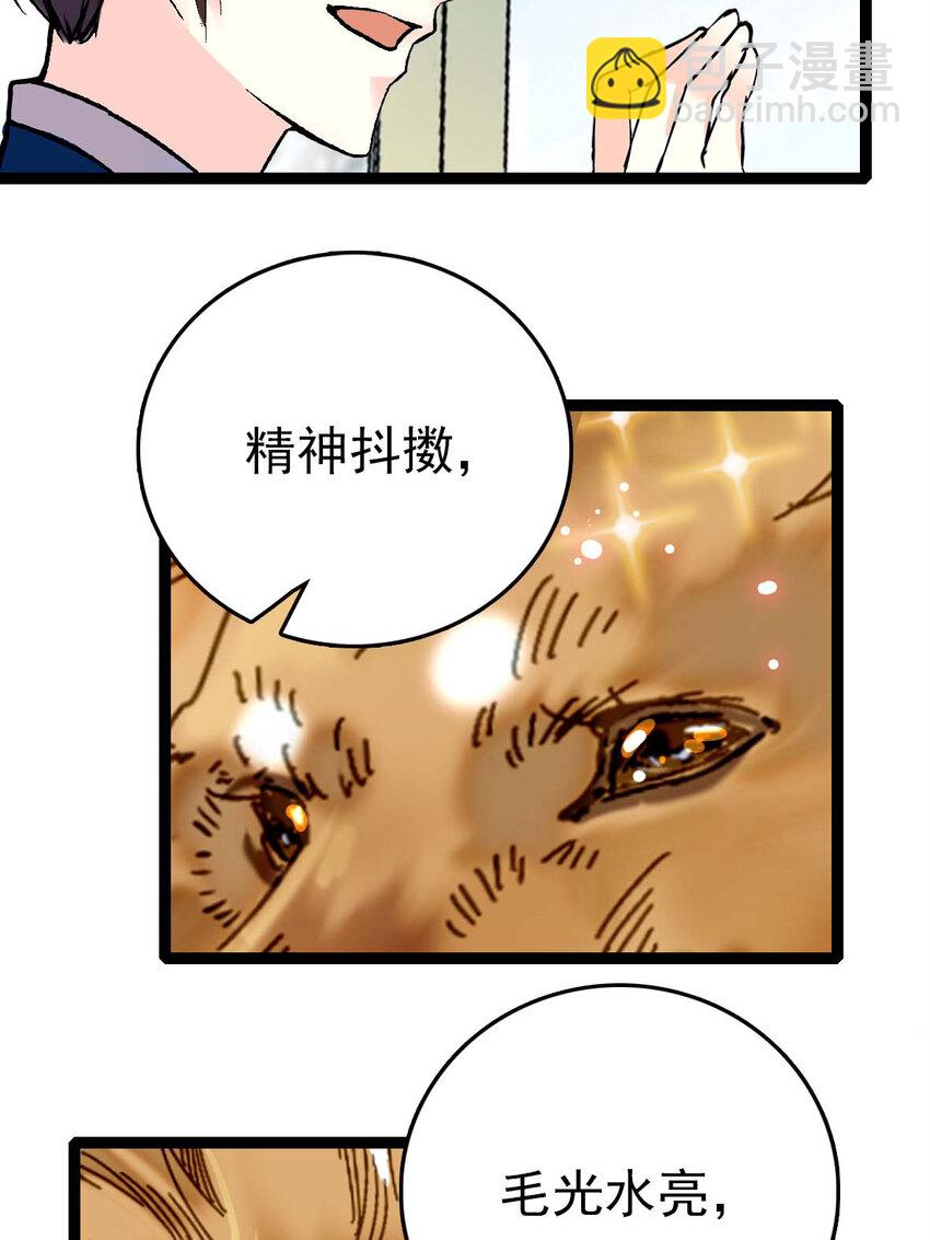 035 名为乐乐-第35话