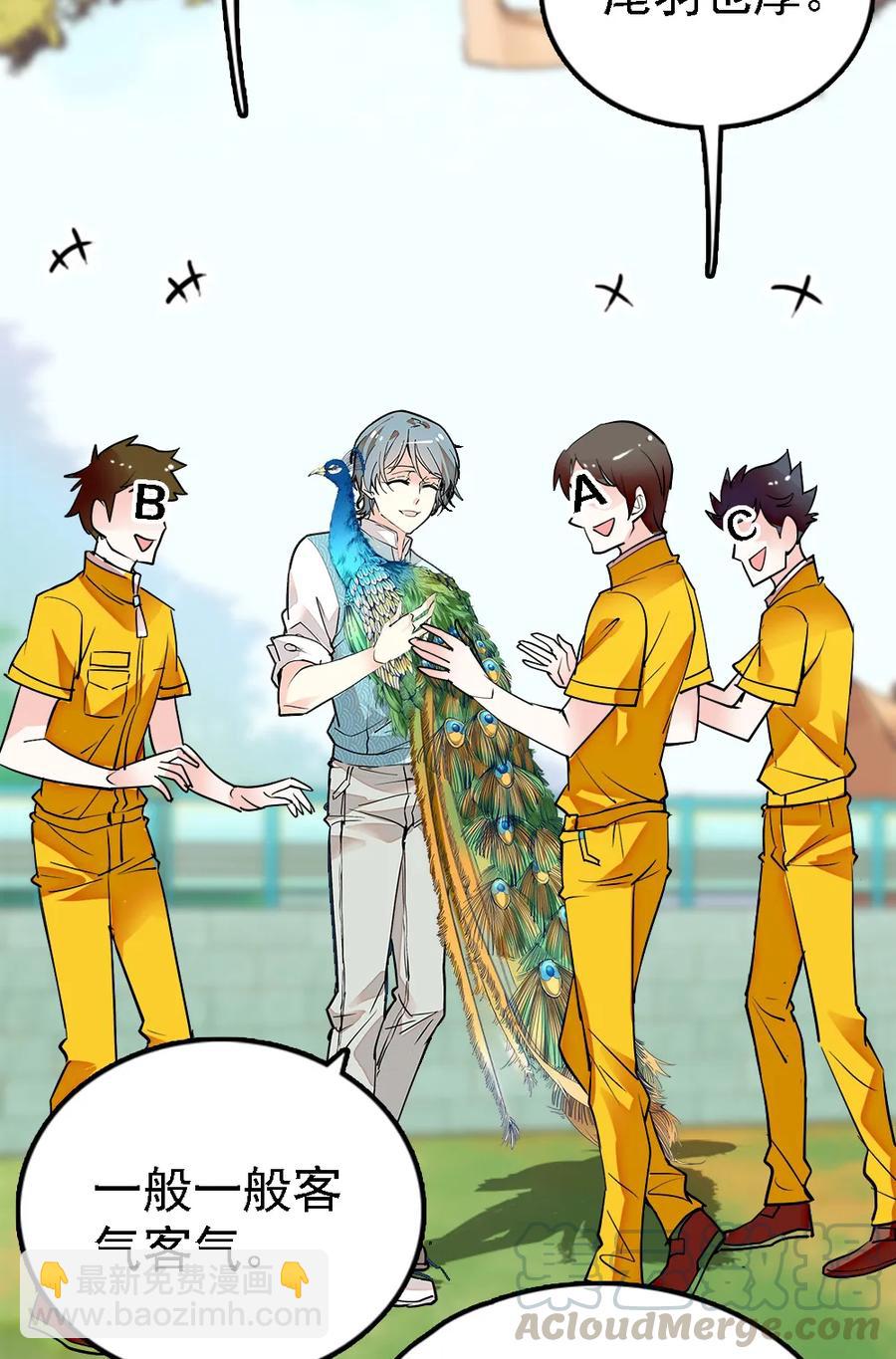051 孔雀霸王-第51话