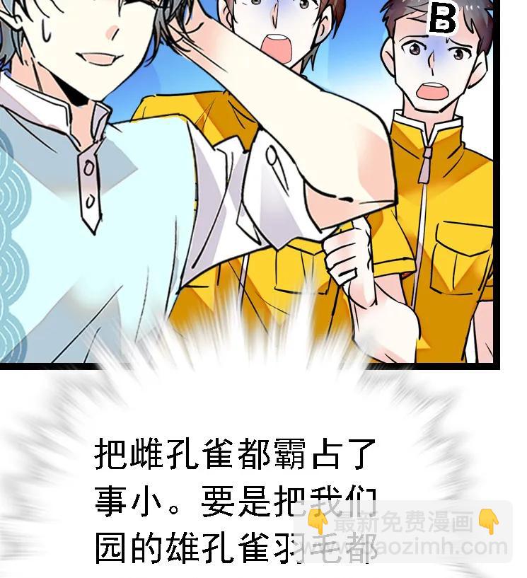 051 孔雀霸王-第51话