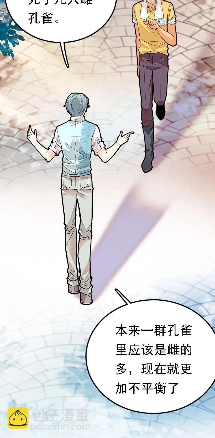 051 孔雀霸王-第51话