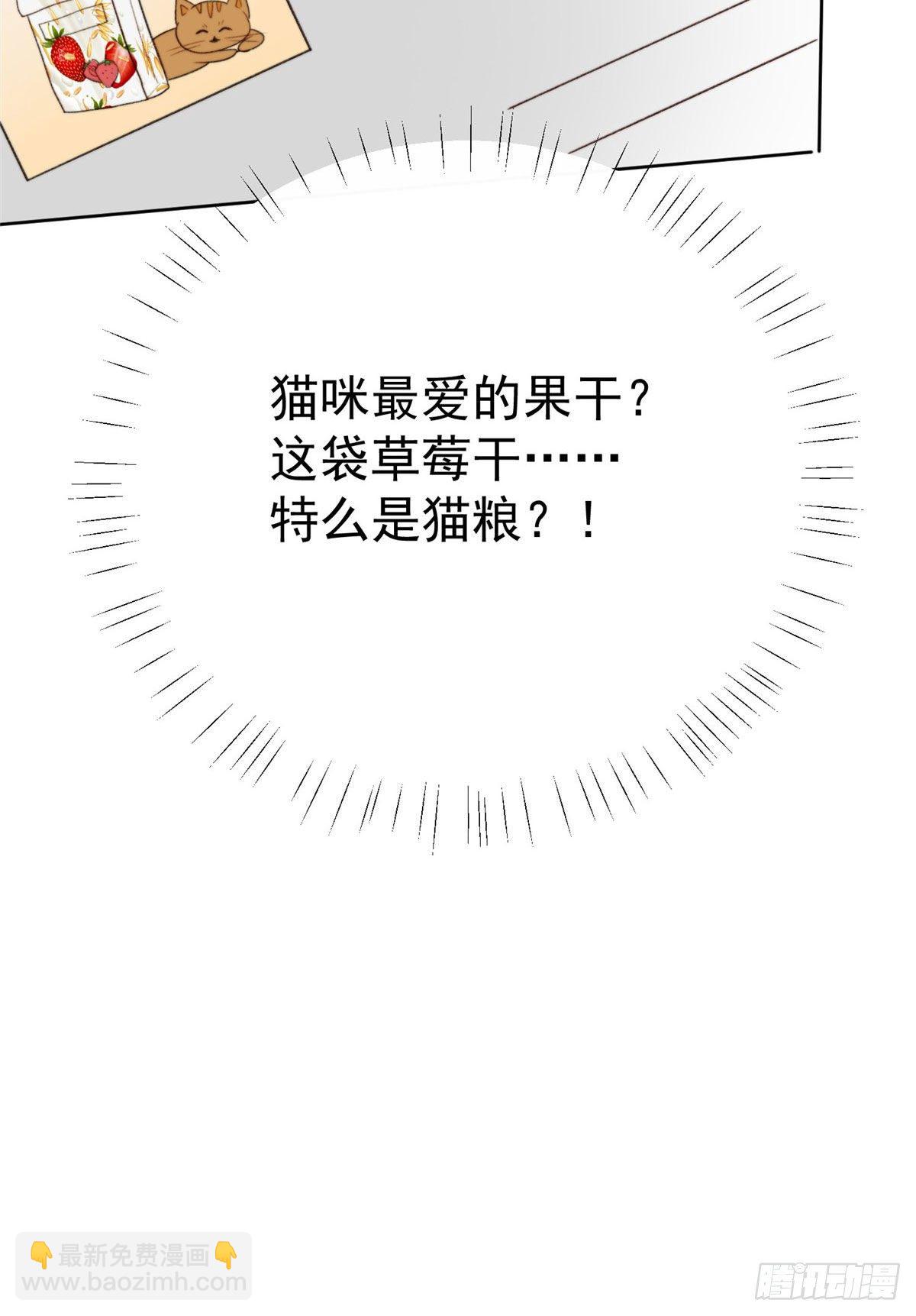 36 薄总的温柔(1/2)-第37话