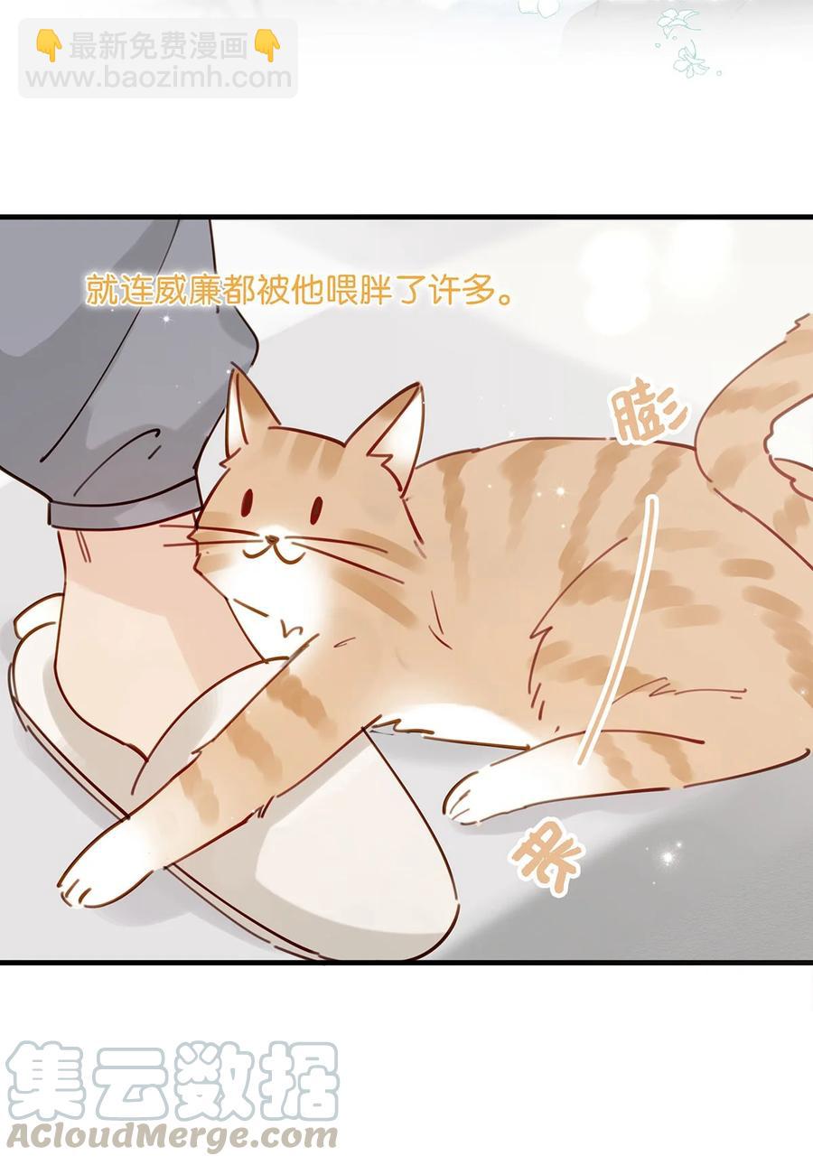 番外 一周年漫画独家专属番外(1/2)-第49话
