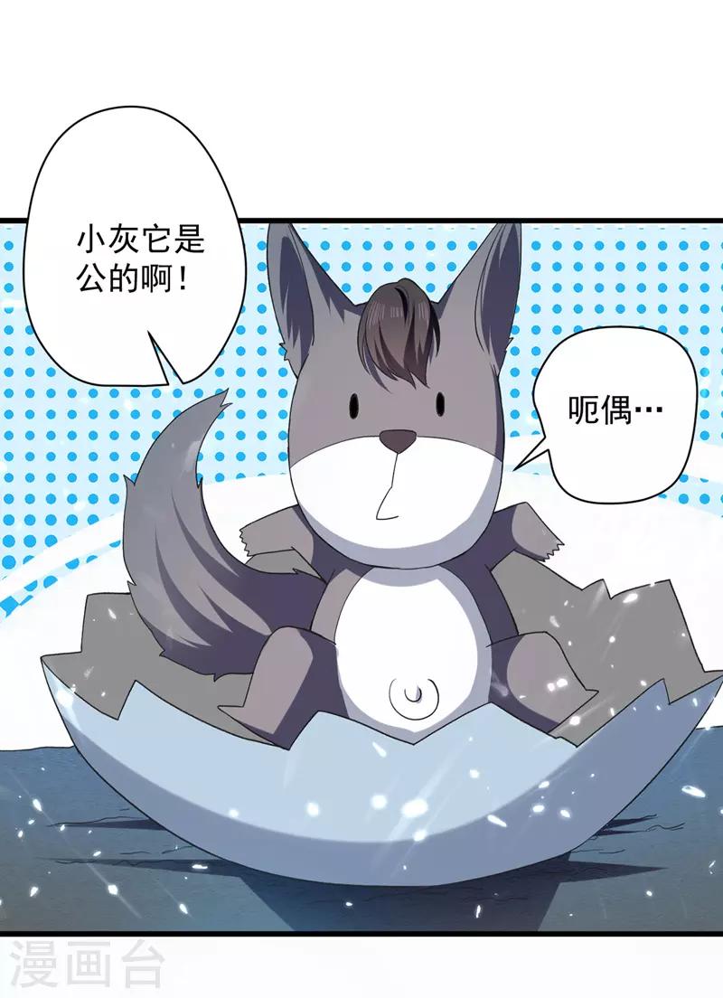 第12话 神兽小灰驴-第13话