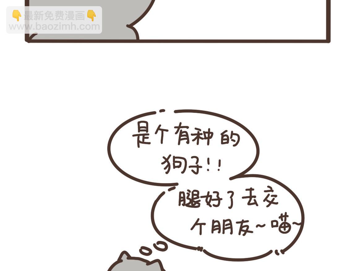 追求完美-第31话