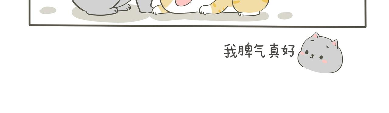 狭路相逢-第5话