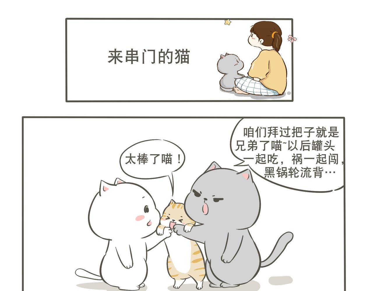 来串门的猫-第9话