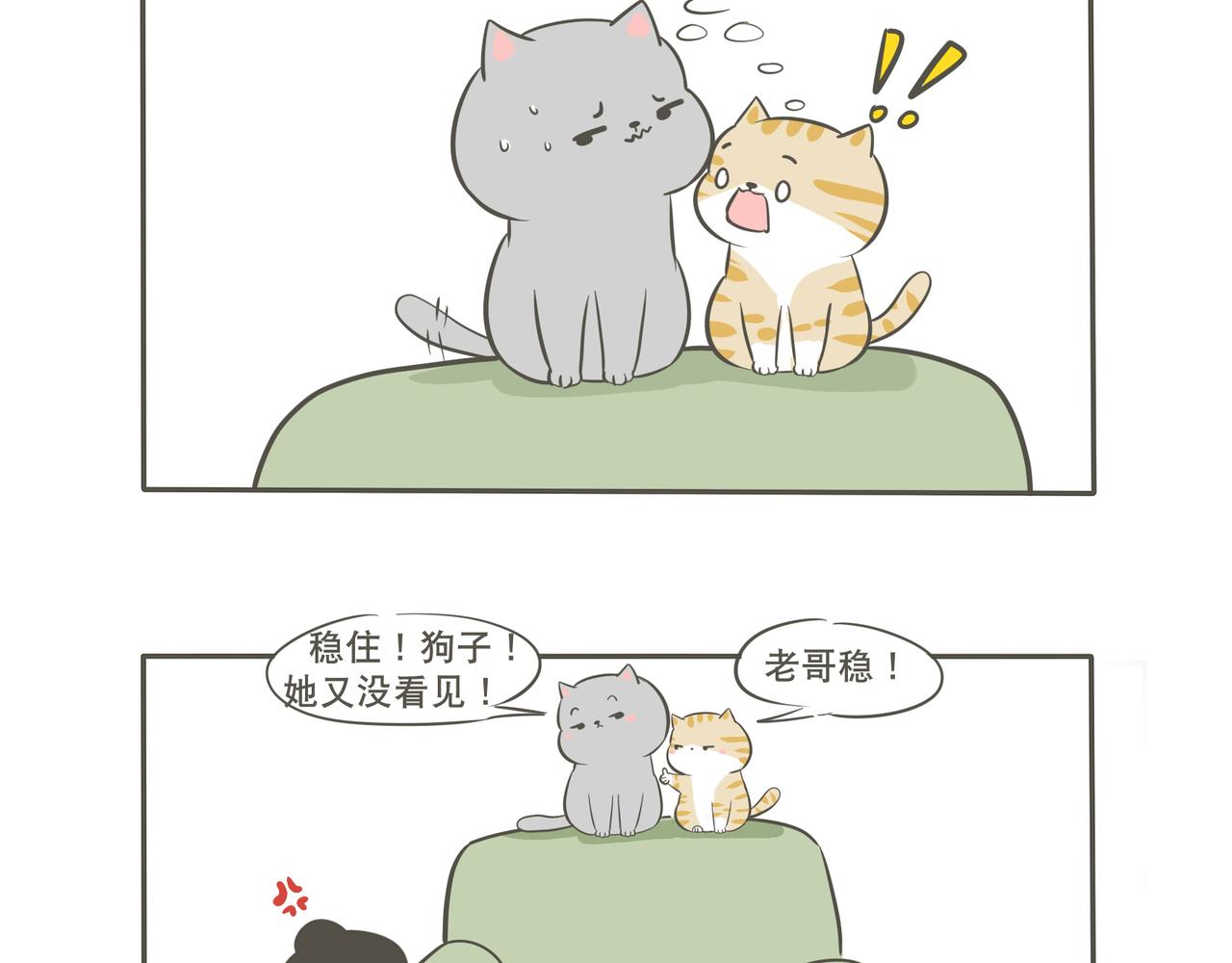 来串门的猫-第9话