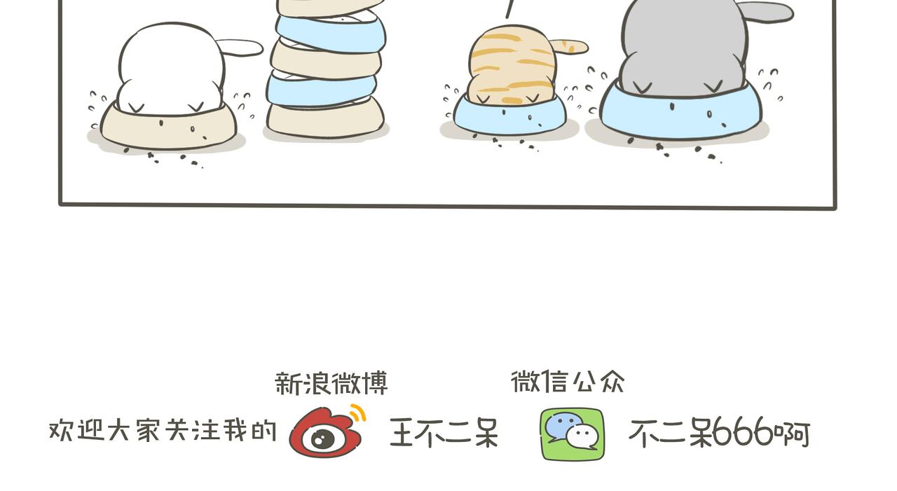 来串门的猫-第9话