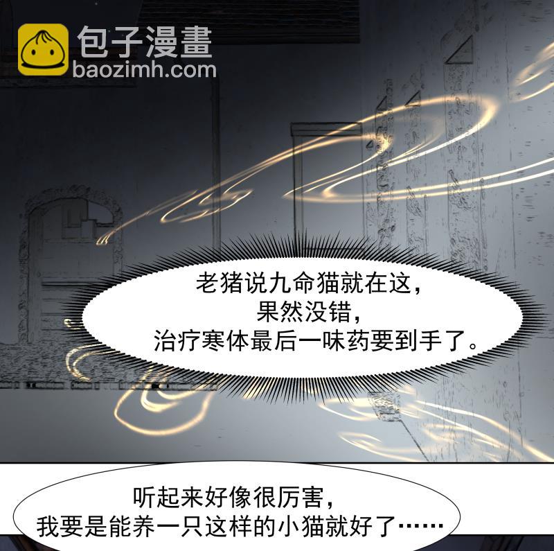 第459话 九命猫-第459话