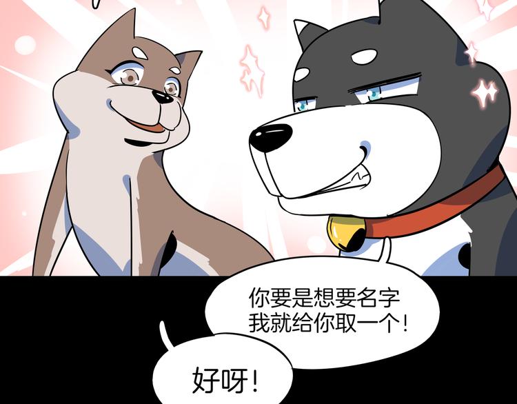 第41话 终止的约会(1/3)-第43话