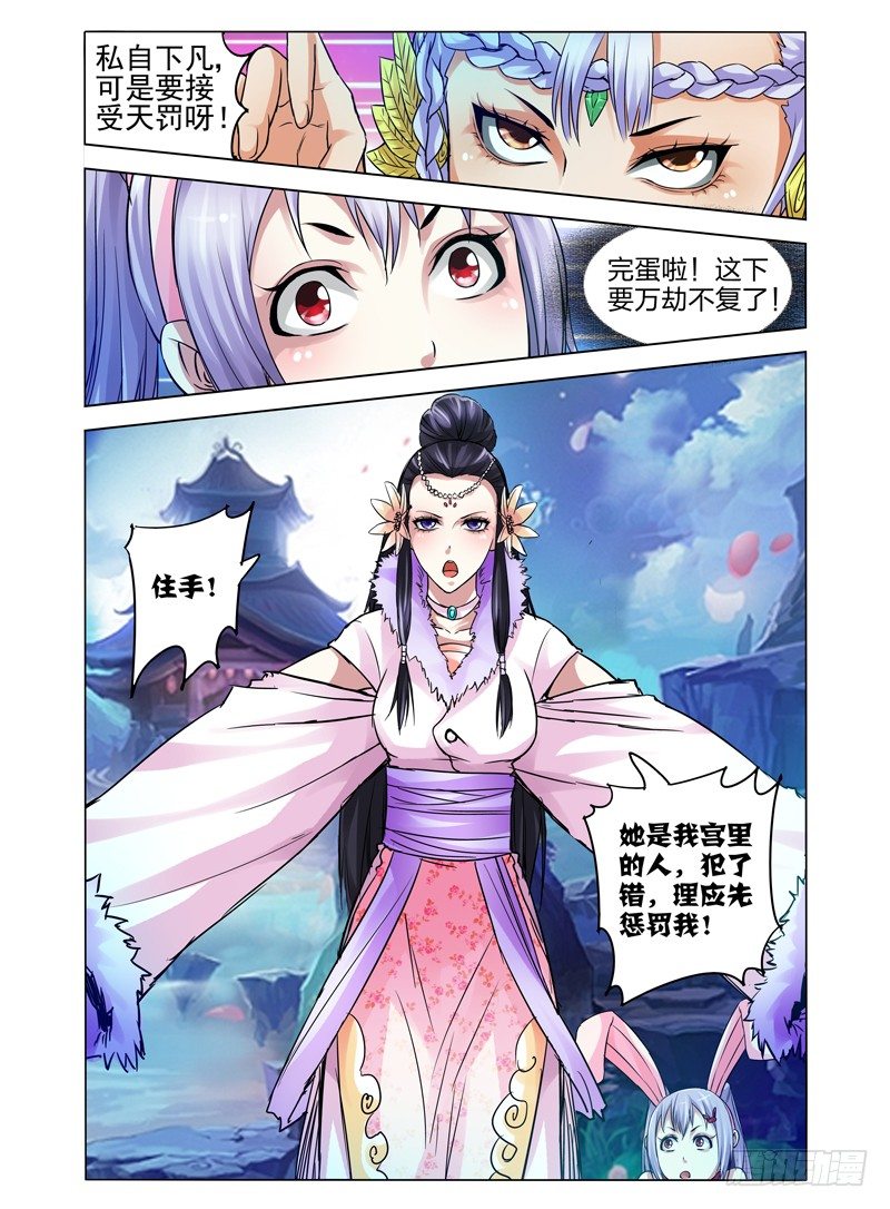 第六十七话 疯狂的兔子-第67话
